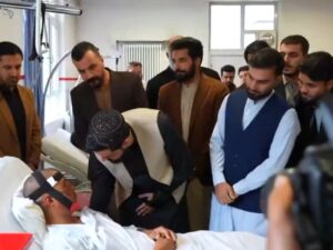 202603193713287-1773906351